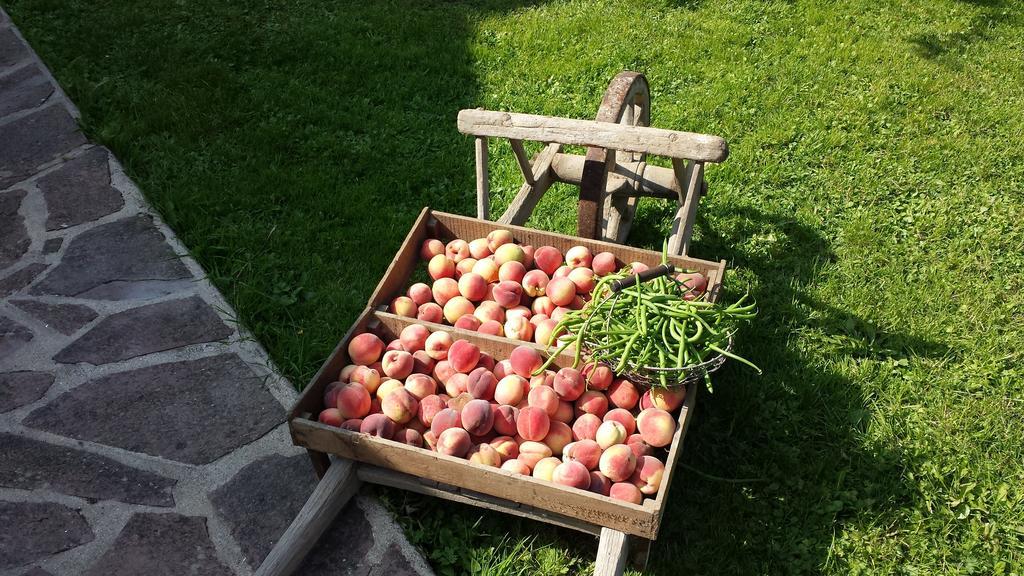Les Jardins De La Tuilerie Bed & Breakfast Jouarre Dış mekan fotoğraf